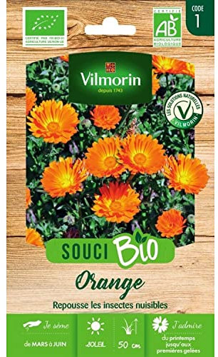 Vilmorin - Souci Bio Orange