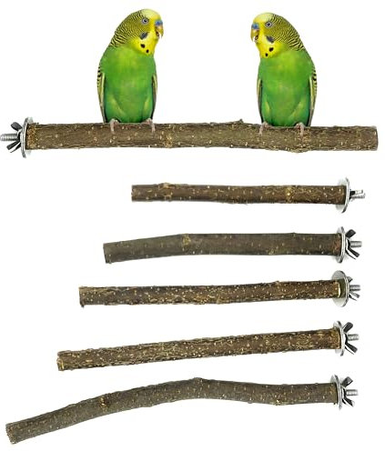 6 Natur Sitzstangen für Vögel - Befestigung aus Edelstahl - Wellensittich Spielzeug - Nymphensittich Spielzeug - Vogel Spielzeug