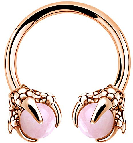 OUFER Body Piercing Anneau de Septum Piercing Hélix Fer à Cheval en Acier Chirurgical 316L Piercing Oreille Cartilage Griffe de Dragon, Anneau de Nez, Tragus, Daith, Rook Piercing Bijoux de Corps 16G
