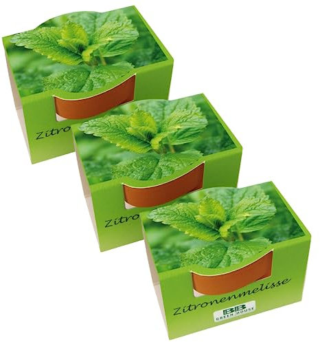 Bull & Bear 3er Set Mini Pflanzset mit Zitronenmelisse Samen im Topf 4,5cm, Zitronenmelissesamen als Anzuchtset mit Pflegeanleitung
