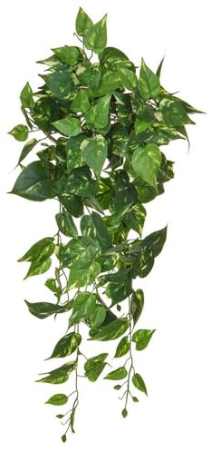FloristryWarehouse Trailing Artificial Silk Pothos or Devil's Ivy Bush Fire Retardant 80cm/31 Inches