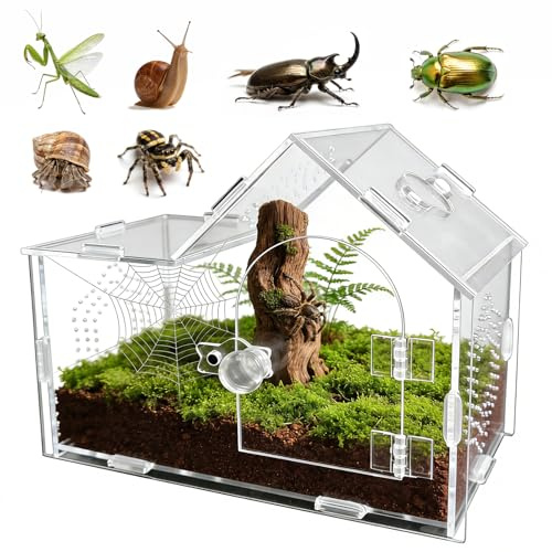 GTSEEMUU Acrylic Jumping Spider Enclosure with Magnetic Lock – Clear Ventilated Terrarium Box for Tarantulas, Geckos, Mantises, Hermit Crabs, Snails, and Other Small Pets (20 x 10 x 15.5 cm)
