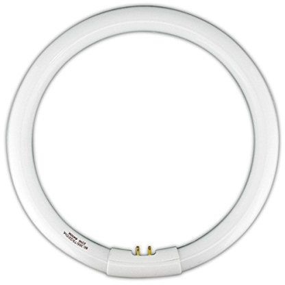 Electro DH Tubo Fluorescente Circolare T5 22W 'Sottile' - Risparmio Energia 80%, Luminosità Superiore 80%, Efficienza Luminosa Alta, Temperatura Colore 6400 K, Flusso Luminoso 1210 lm, Base 4-pin G10q