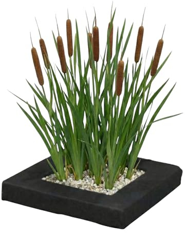 vdvelde - Isola Galleggiante per Laghetto con Tifa - Set Piante Acquatiche con 4x Typha latifolia - Set Completo con Cestello, Substrato & Fertilizzante - Isola Galleggiante