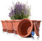 BigDean 6X Blumentopf mit Untersetzer rund ø40xH31 cm Terracotta - wetterfester Pflanzkübel - Wasserablauf UV-beständig aus bruchsicherem Kunststoff - Innen + Außen geeignet - Made in Europe