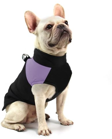 FEimaX Manteau pour Chien d'hiver Imperméable, Veste Chaude Vêtements pour Animal de Compagnie Petit Moyen Grand Chiens Chiot Gilet en Coton d'automne et Temps Froid