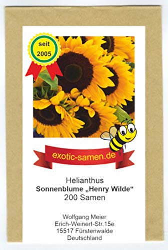 Riesensonnenblume - Bienenweide - Sonnenblume- Henry Wilde - bis 2,50 Meter - mehrstielig - Großpackung - 200 Samen