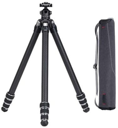 Trépied de Voyage FALCAM TreeRoot Quick Lock Lite en Fibre de Carbone avec rotule F38 et système de dégagement Rapide, Charge utile Verticale maximale de 40 kg pour appareils Photo (C141K-301)
