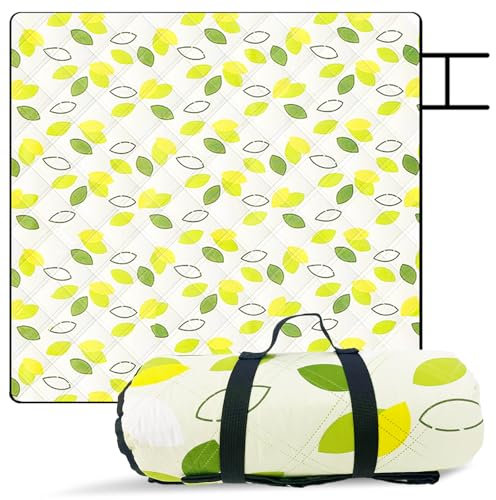 Kyzuzia 200x200cmPicknickdecke，Faltbar Strandmatte, ideal für Strand Park，Diese Farbe ist beliebt bei Jungen Menschen und ist die Beste Wahl für sie，groß，faltbar, tragbare