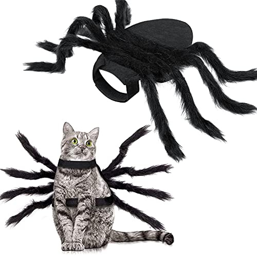 YACA Halloween Kostüm für Katzen und kleine bis mittelgroße Hunde, Schwarz, Größe M, Filz, Einzigartiges Spinnen-Design mit formbaren Beinen, leicht und bequem