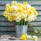 Narciso bulbi, Daffodil bulbi, Hanno un lungo periodo di fioritura, Crescono rapidamente e sono facili da piantare per i principianti-10 bulbi-A
