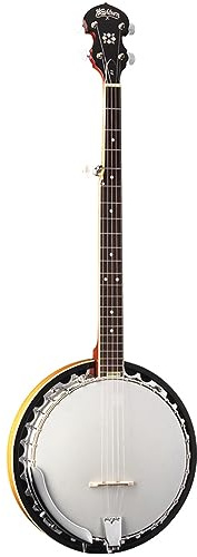 Washburn Americana Series B9-WSH-A 5 String Banjo Natural