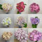 Hortensia con flores redondas - decoración de jardín flores cortadas-3bulbos-I