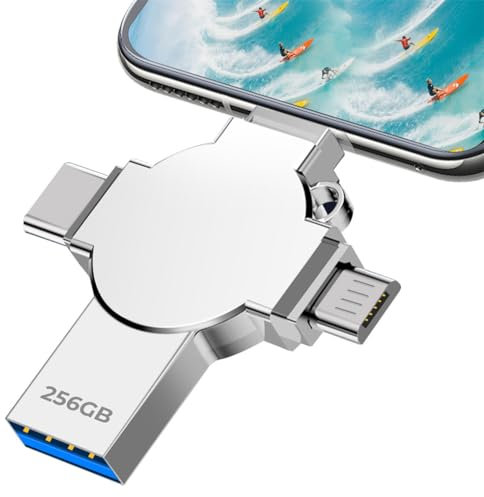 lumrok Memoria USB 256GB - 4 en 1 Alta Velocidad USB 3.0 Pendrive Gran Capacidad Memory Stick Metal Disco Duro Externo 256GB con Teléfono OTG Android