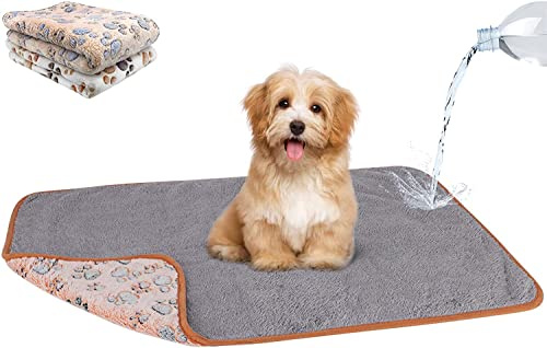 HYLYUN 2-pack vattentät hundfilt, tvättbara hundfiltar för säng soffa sofföverdrag fleece flanell valpfilt mjuk plysch vändbar filt för små medelstora hundar valpar katter