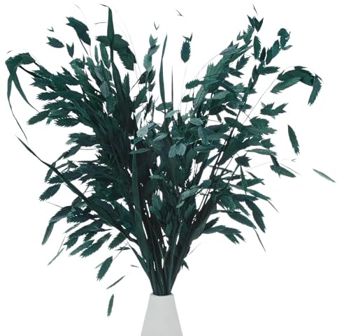M METERXITY 20-Pz Mazzo Erba Essiccata 17 Chasmanthium Bouquet Fiori Secchi Erba Avena per Riempitore Vasi/Decorazione Casa Fiori Secchi Arrangiamento Pianta Reale Steli Verdi [Blu Mare]