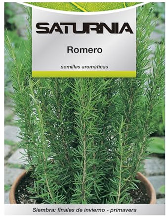 Semillas Aromaticas Romero (0.1 gramos) Horticultura, Horticola, Semillas Huerto.
