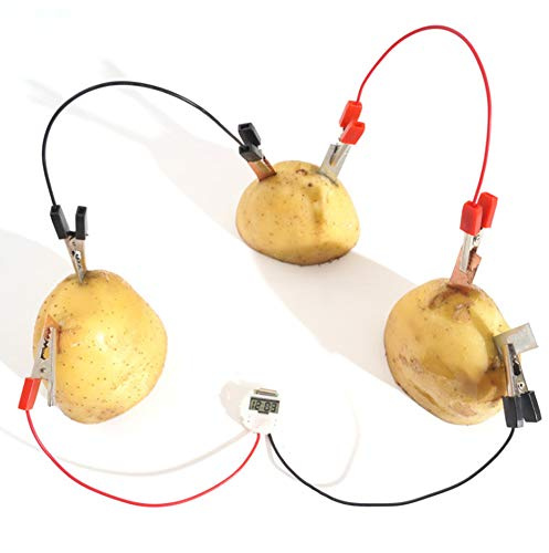 Seacanl Kit électrique de Pomme de Terre, Jouet électrique de Pomme de Terre d'expérience éducative, Amusant pour Le kit éducatif de Jouets éducatifs Orange Citron