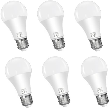 E27 LED Lampe, 12W Ersetzt 100 Watt Halogenlampe, 6500K Kaltesweiß, 1200 Lumen, Tageslichtweiß A60 LED Birne, Birnenform, E27 Edison, 270° Abstrahlwinkel Energiesparlampe, Nicht Dimmbar, 6 Stück