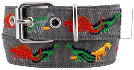 EANAGO Cinturón Infantil – Tela Resistente con Bordados – Ajustable 3-12 Años – Hebilla Fácil – Accesorio Práctico y Divertido para Colegio y Tiempo Libre
