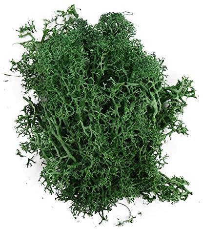 Fake Artificial Moss, Faux Moss Artificial Plants Outdoor Dried Moss for Plant Pots Green for Arts and Crafts, Mini Landscape Fake Flower(dark green)