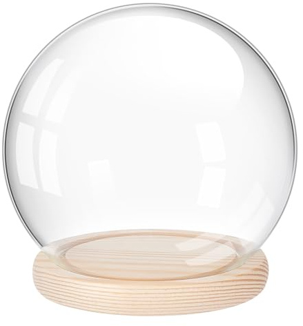 Glasklocka för display, Glasdisplaykupolklock med träbas, 15x14 cm