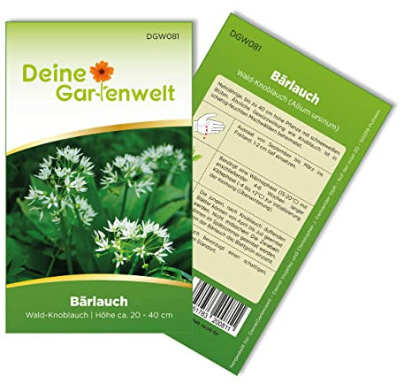Bärlauch Waldknoblauch Samen - Allium ursinum - Bärlauchsamen - Kräutersamen - Saatgut für 20 Pflanzen