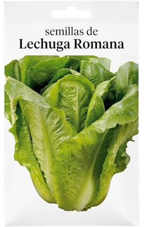 Semillas de Lechuga Romana DECOALIVE para Huerto Urbano en Casa y Cultivo Fácil
