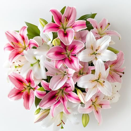 GlobalRose 10 Assorted Oriental Lilies – Responsibly Sourced Lily Flowers – Hand-Picked Flowers Fresh Bouquet for Graduation, Anniversary, Birthday & Special Occasions