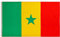 PHENO FLAGS Senegal Flagge 90x150cm - wetterbeständige Fahne mit Messingösen, 100% Polyester, robuste Doppelnaht & in lebendigen Farben - ideal für Flaggen-Liebhaber