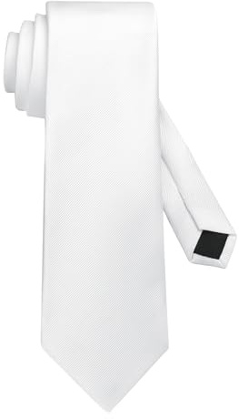 DecTwig Men's Ties Solid Color Formal Necktie White