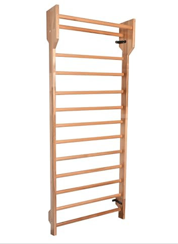 ARTIMEX Échelle Suédoise (Espalier) - Outil de physiothérapie et de Gymnastique - Idéal pour Les Exercices de scoliose, d'arthrite et des maux de Dos - en Bois de hêtre, 230x90 cm, Code 216-F-Schroth