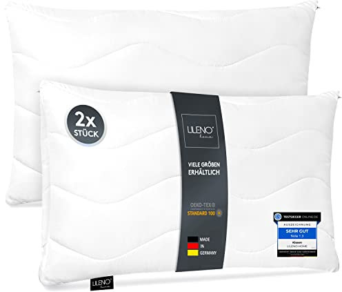 LILENO HOME - Juego de 2 almohadas de 30 x 40 cm, con cremallera, para relleno de cojín, lavable hasta 95 °, para sofá y cama