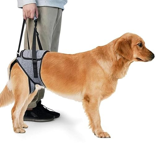 KOMUNJ Imbracatura di sollevamento taglia, Imbracatura per Cani per Zampe Posteriori, Cintura Ausiliaria Imbracatura Cane Zampe Posteriori per Cani Anziani Disabili E Feriti (L)