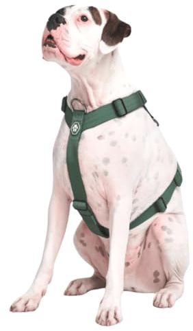 Spark Paws Large Dog No-Pull Harness, Halter Design with Front Clip, Durable and Heavy-Duty for Big and Strong Breeds - Green, S