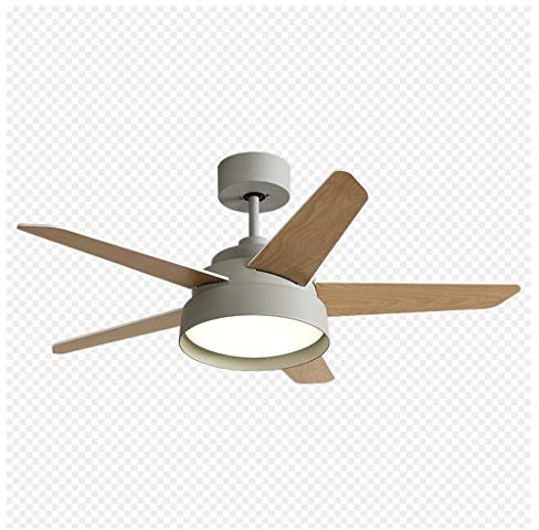 MYBA Ventilador de techo moderno de Stumm con luz LED y mando a distancia de 100 cm, para dormitorio, salón, habitación infantil, ventilador de techo (color: gris, tamaño: 42 pulgadas)