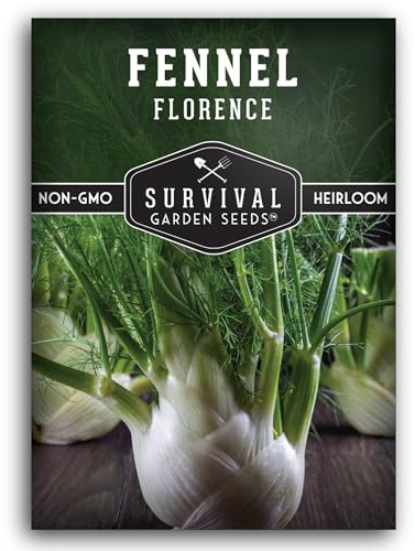 Fennel Seed for Planting - 1 Packet with Instructions to Grow Cool-Weather Florence Fennel (Finnochio) in Your Home Vegetable Garden - Non-GMO Heirloom Variety - Survival Garden Seeds
