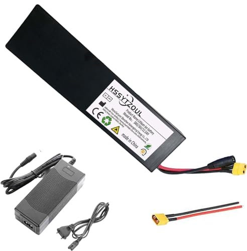HSSYTZOUL 36V 48V litiumjonbatteri12.5AH E-Bike Batteri Elektrisk skoter Batteri Inbyggt BMS-skydd med laddare för E-Bike E-Scooter Lithium-Ion Batteri,36v,12.5AH
