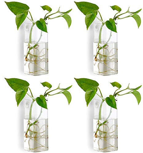 NUPTIO Pcs of 4 Crystal Glass Wall Hanging Flower Vase Planter Terrarium Container Flower Pot (Style 2, 4 Pcs)