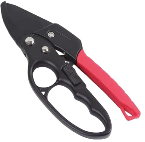 MOAZIFI Sécateur professionnel à cliquet SK5 avec lames en acier revêtu de téflon - Coupe jusqu'à 20 mm - Poignée ergonomique - Idéal pour le jardinage