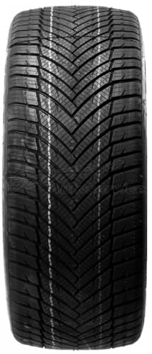 Minerva 43971 Neumático 175/70 R14 88T, All Season Master para Turismo, Todas Las Temporadas