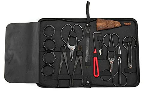 Gusengo Bonsai verktygssats - Kit med 10 Bonsai-verktyg, trädgårdsredskap verktygssats i kol, professionell bonsai verktyg Topiary trädgårdssats med nylonfodral