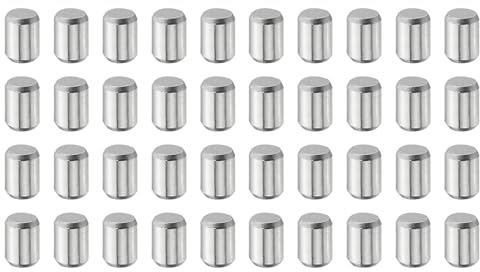 QUARKZMAN 40 Pz 5 mm x 8 mm perni di legno, perni cilindrici in acciaio inossidabile 316L supporto mensola perno perno asta fissaggio elementi mensola perni in metallo tono argento