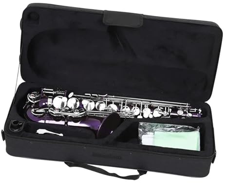 Professionell Saxofon Silvertangenter I B Och E B Modell För Vuxen Nybörjare Altsaxofon Lila
