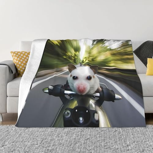 PHAYAH Animal Riding A Car Pattern Flannel 40X30 Soft Fleece Blanket All Seasons Warm Blanket For Bedding Sofa And Trave