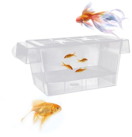 Scatola di isolamento trasparente a doppio strato, multifunzionale, galleggiante, con ventosa, per la cura di pesci piccoli nell'acquario, 12,6 x 7 x 7 cm