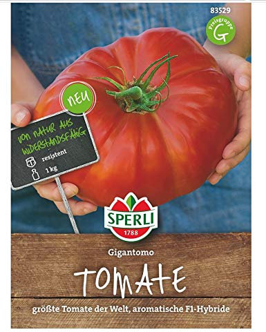 Sperli Fleisch-Tomatensamen Gigantomo, F1 83529 - Gemüsesamen für eine gigantische Fleisch-Tomate mit einem Gewicht von bis zu 1 kg - Gemüsepflanzen, Saatgut