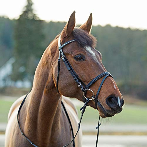 HORZE Weston Padded Leather Snaffle Bridle with Flash Noseband and Web Reins | English Bridle for Horses - Brown - Pony