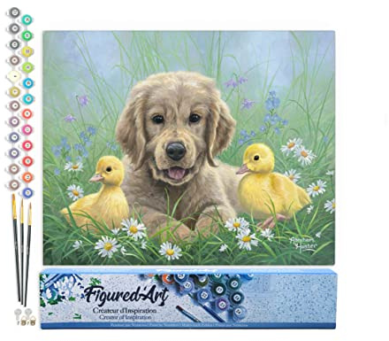 Figured'Art Pintar por Numeros Adultos Labrador y pollitos - Manualidades pintura acrilica Kit Cuadro DIY completo - 40x50cm sin bastidor