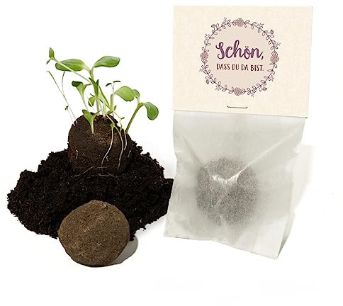 Die Stadtgärtner - Gastgeschenke-Set - 10x eine Samenbombe im Tütchen | Gastgeschenke Hochzeit | Schön, dass du da bist | Blumensamen für nachhaltige Erinnerungen